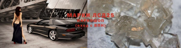 таблы Осинники