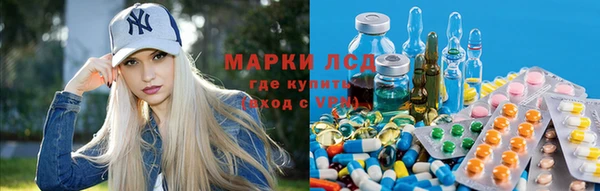 крисы Нягань