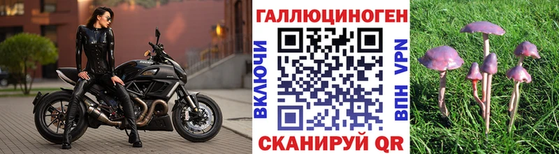 мега онион хочу Ртищево Галлюциногенные грибы GOLDEN TEACHER