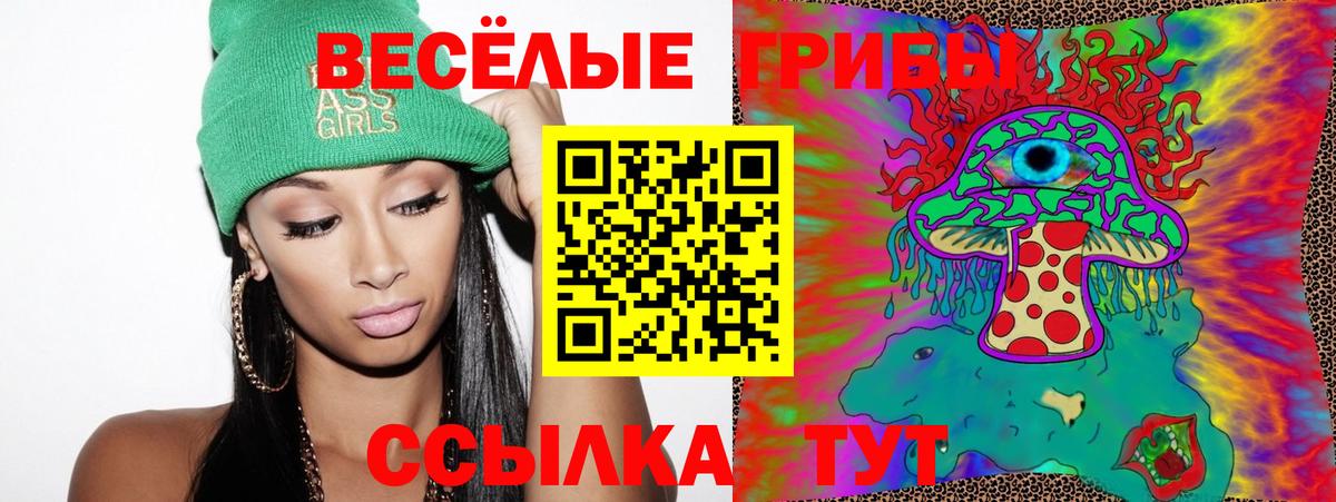 купить   Ртищево  Псилоцибиновые грибы MAGIC MUSHROOMS 