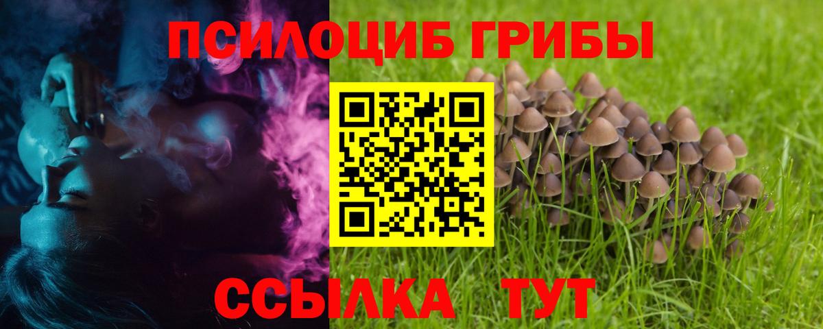 Псилоцибиновые грибы MAGIC MUSHROOMS  Вход с VPN  цена наркотик  Псилоцибиновые грибы GOLDEN TEACHER  Ртищево 