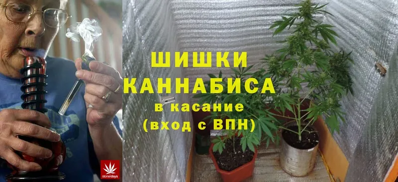 площадка формула  Ртищево  Конопля Ganja 